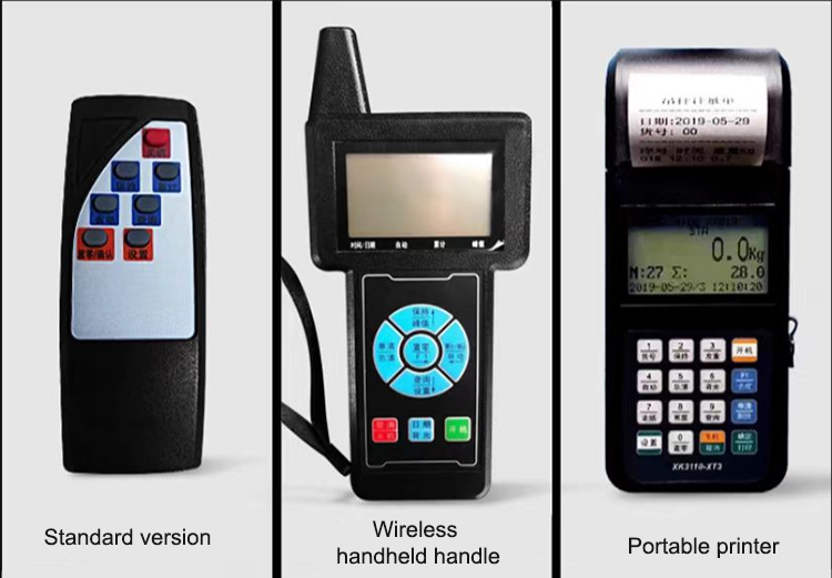 Electronic Crane Scale